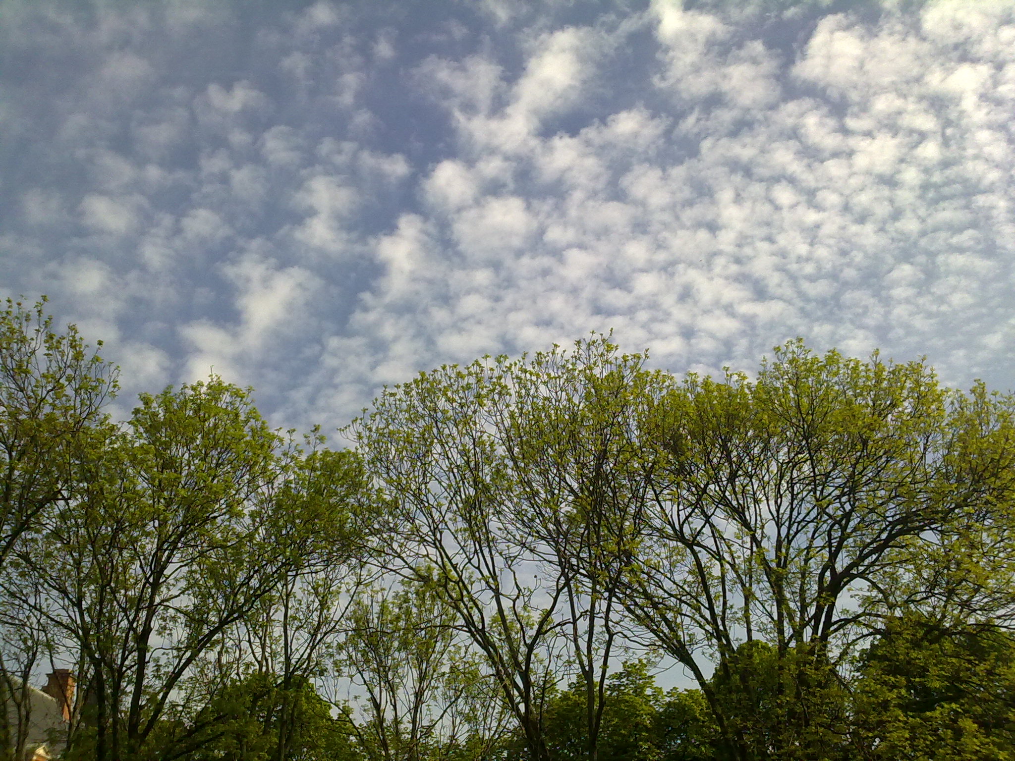 Nokia E75 Vs E71 Camera Comparison